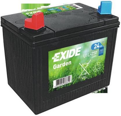 EXIDE 24AH 250A 197x132x186 +/-