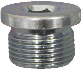 Õlikork+tihend Fiat M22x1,5x14,5 võti HEX